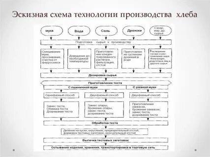Последовательность приготовления хлеба