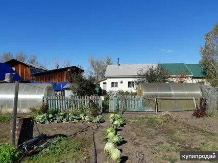 Погода в малоенисейское