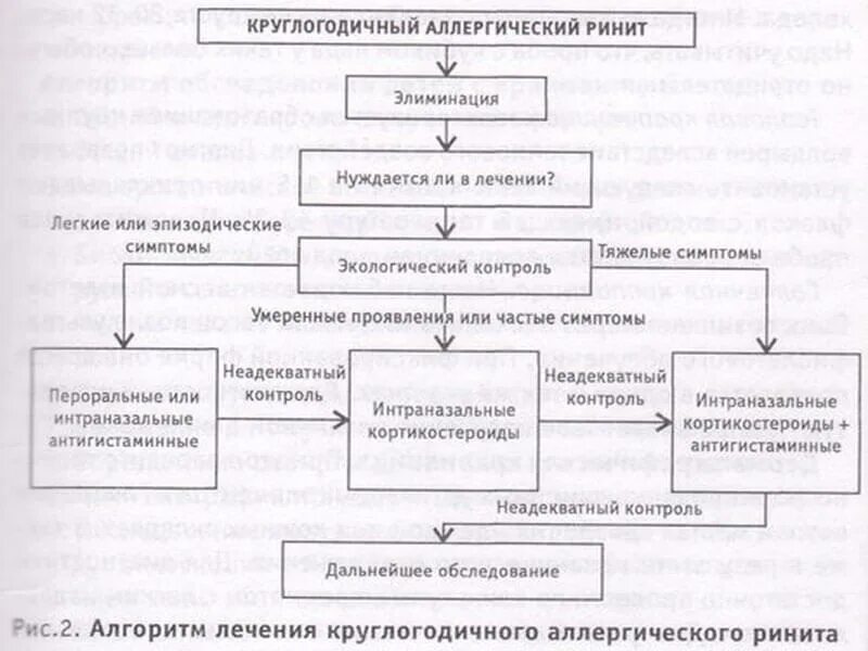 Симптомы аллергического ринита. Круглогодичный аллергический. Аллергический ринит лекция. Круглогодичный аллергический. Аллергический ринит проявления у детей.