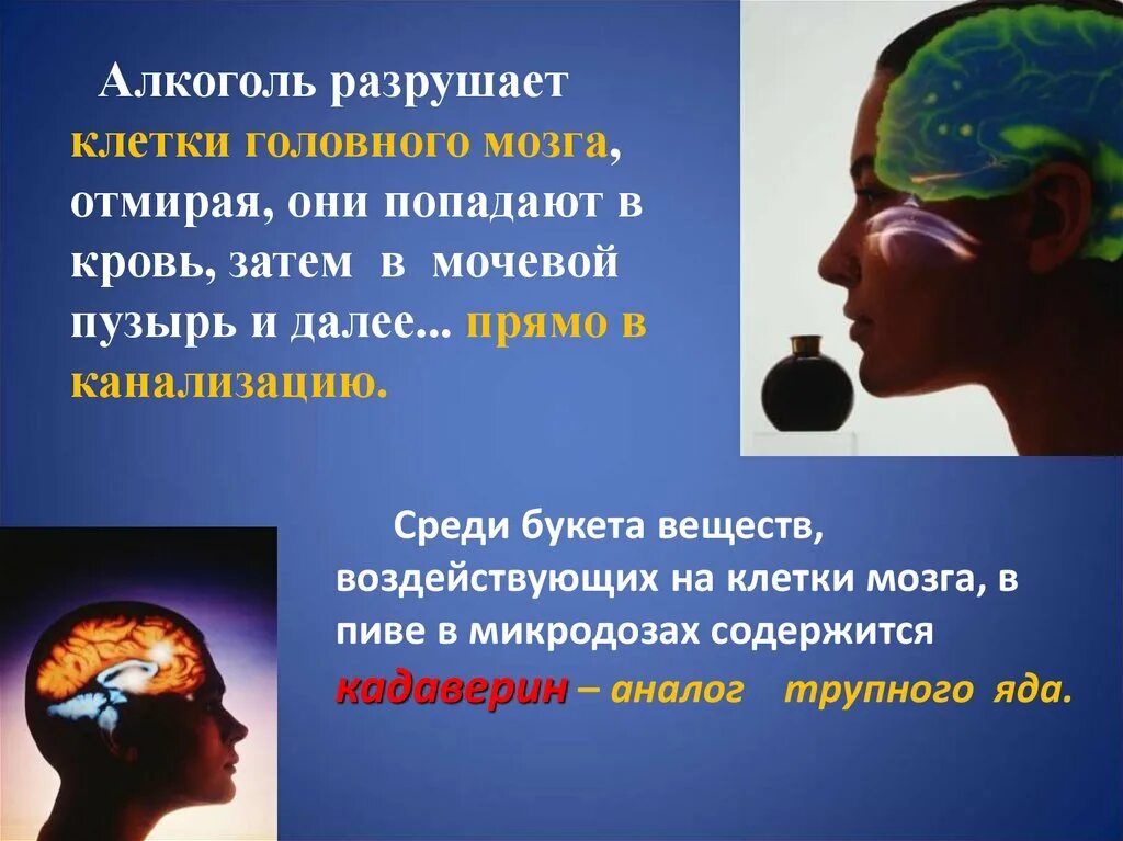 Алкоголь разрушает мозг. Разрушение клеток мозга. Алкоголь разрушает клетки мозга. Разрушили голову