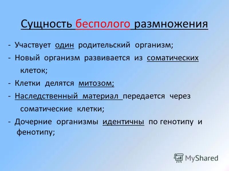 соматическое размножение это