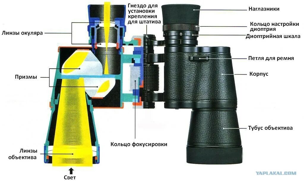 Линзы окуляра бинокль БПЦ 20х60. Бинокль БПЦ 10=40 строение линз. Строение окуляра бинокля б12. Бинокль Вебер БПЦ 7х50. Увеличение окуляра 10 увеличение объектива 6