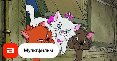 Коты аристократы гаммы