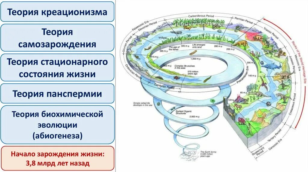 Гипотеза биохимической эволюции опарина. Гипотеза биохимической эволюции. Теория биохимической эволюции. Этапы зарождения жизни согласно биохимической гипотезе. Теория биохимической эволюции основные этапы.