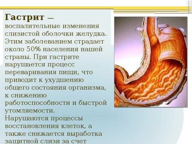 Сколько восстанавливается жкт
