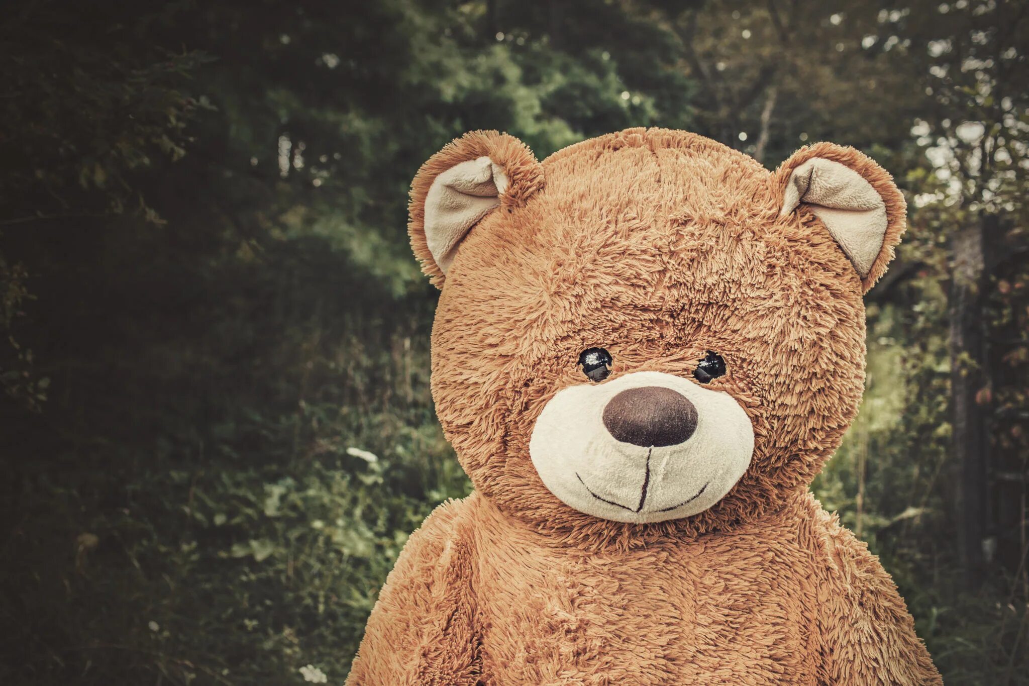 Make the bear