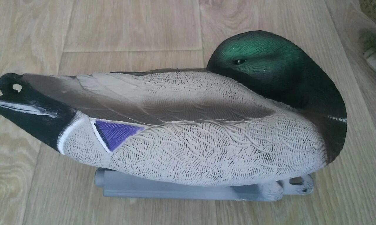 Повесть владимира железникова «чучело» –. Чучела 4 глава. Шилохвость утка чучело. Чучела 4 глава. Чучела 4 глава.