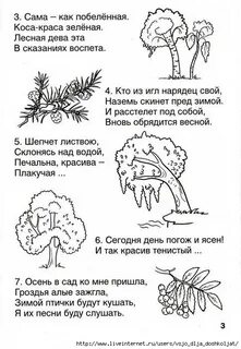 Загадка какой сегодня день
