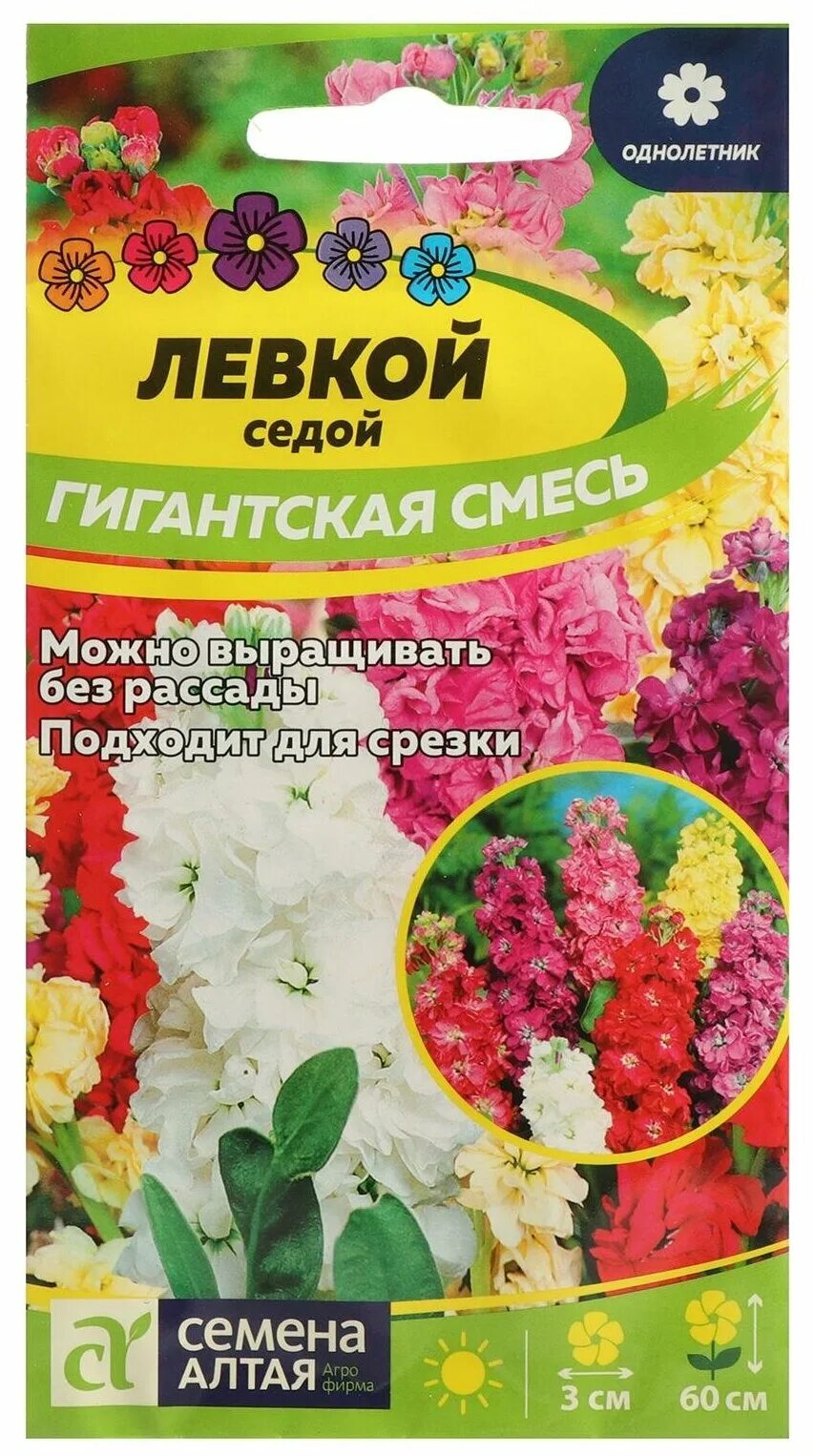 левкои цветы семена. левкой седой гигант смесь окрасок. маттиола букетная смесь окрасок. маттиола левкой. левкои цветы семена.