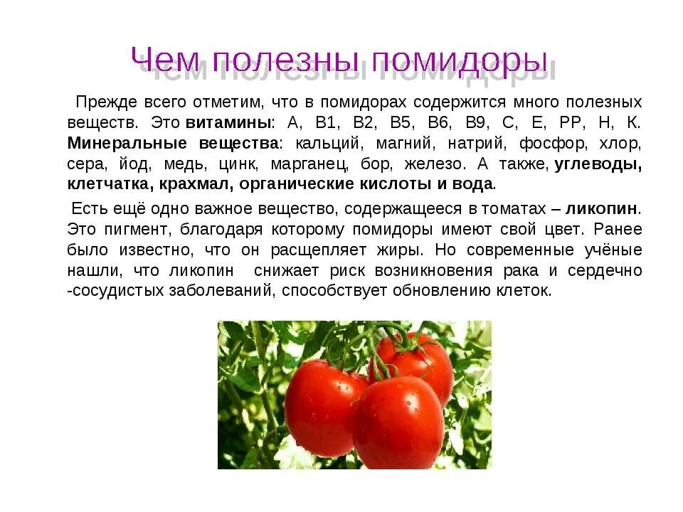 Сколько соли в свежих помидорах. Какие витамины содержатся в томатах. Полезные вещества в помидорах. Полезные вещества, содержащиеся в помидоре.. Витамины в помидорах.