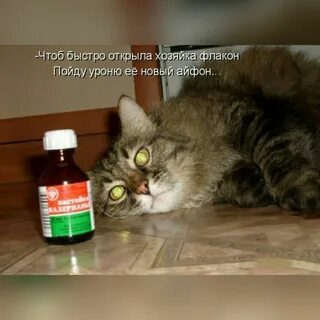 Чтоб ничего не болело
