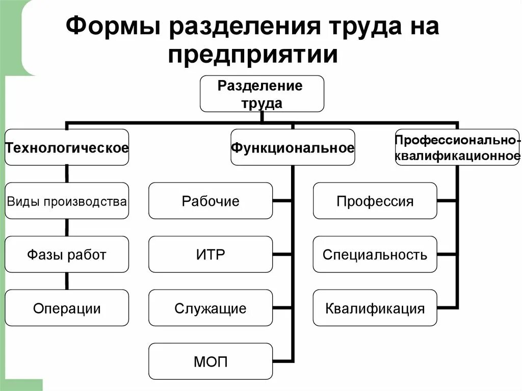 Формы и виды разделения труда в организации. Основными видами разделения труда на предприятии являются:. Формы разделения труда в системе управления. Формы единичного разделения труда:. Форма производства пример