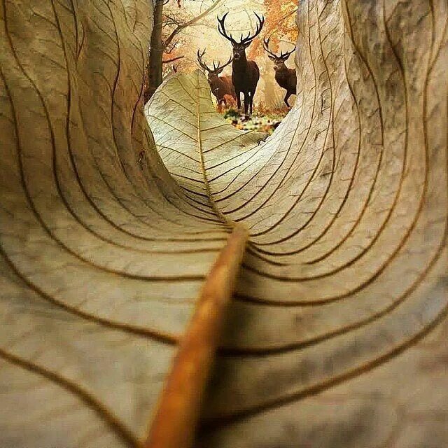 Amazing page
