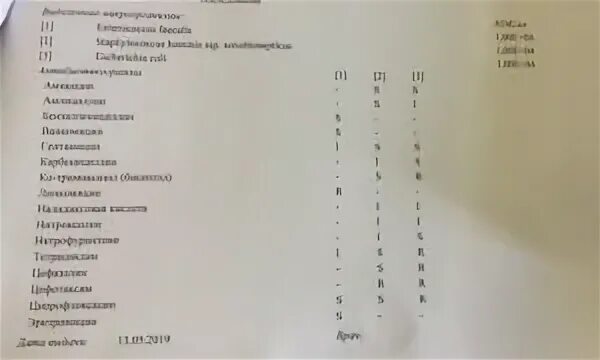 Enterococcus faecalis 10 в 4 степени. Enterococcus faecalis (энтерококк фекальный). enterococcus faecalis в мазке у женщин 10 в 5. enterococcus faecalis 10 6. энтерококк фекальный 10 в 3.