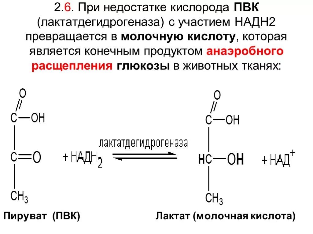 Молочная кислота восстановление ПВК. Превращение пировиноградной кислоты в молочную. Пируват надн2. Лактат молочной кислоты реакция. Глюкоза и кислород реакция