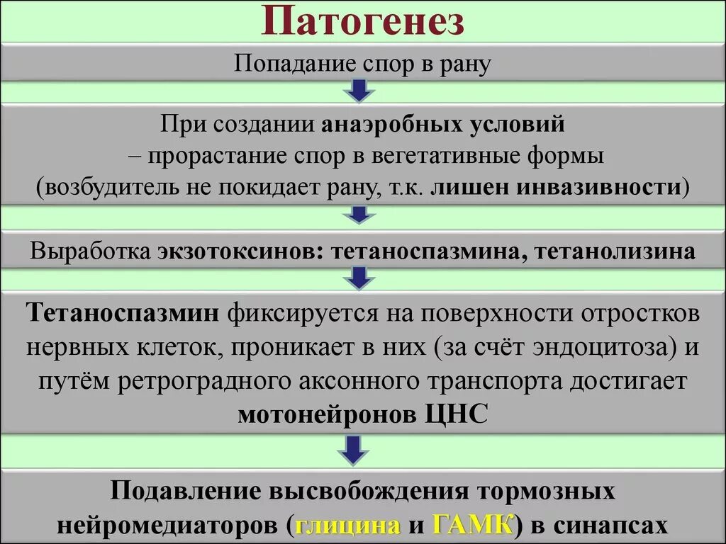 Патогенез газовой гангрены. Патогенез вторичного инфицирования РАН. Гнилостная инфекция патогенез. Газовая гангрена этиология. Признаки патогенеза