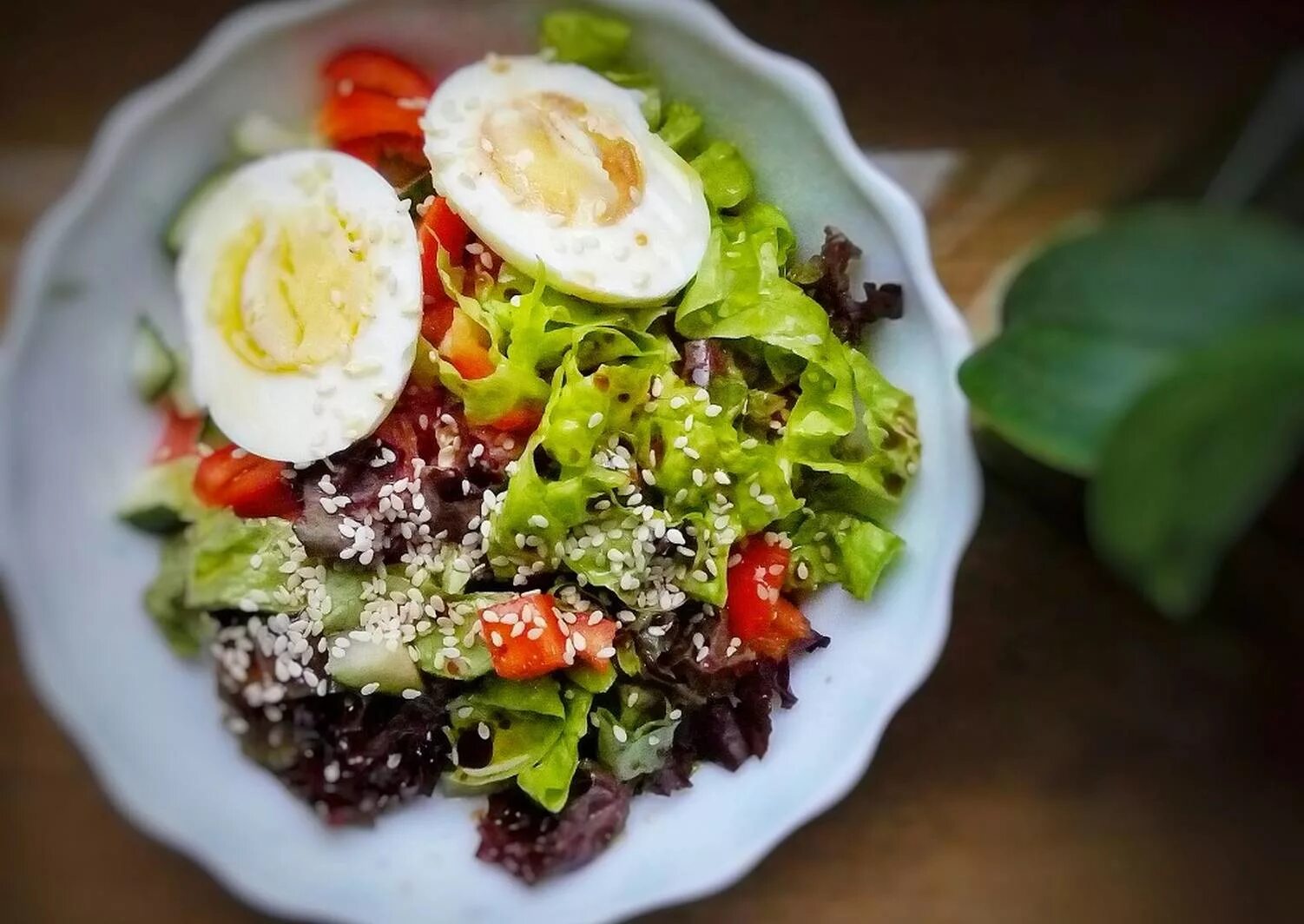 Цезарь с курицей и яйцом пашот. Салат с тунцом и овощами. Капрезе с яйцом пашот. Овощной салат. Яйцо + овощной салат + кунжут.