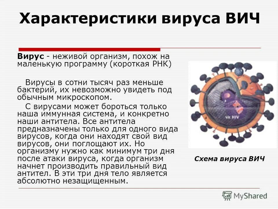 Инфекция вызванная вирусом иммунодефицита человека вич. Вирус ВИЧ. Вирус ВИЧ ВИЧ. ВИЧ вирус иммунодефицита человека. Сообщение о вирусе ВИЧ.