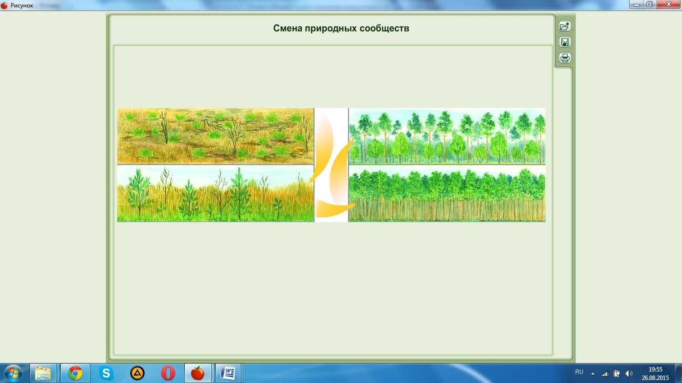 Рисунок природного сообщества 5 класс. Смена природных сообществ рисунок. Схема смены природного сообщества. Смена природных сообществ. Смена растительных сообществ.