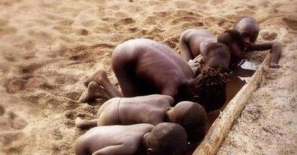 Когда нечего жрать картинки. Котик хочет есть. На. Срочно требуется уйма денег. Деньги юмор.