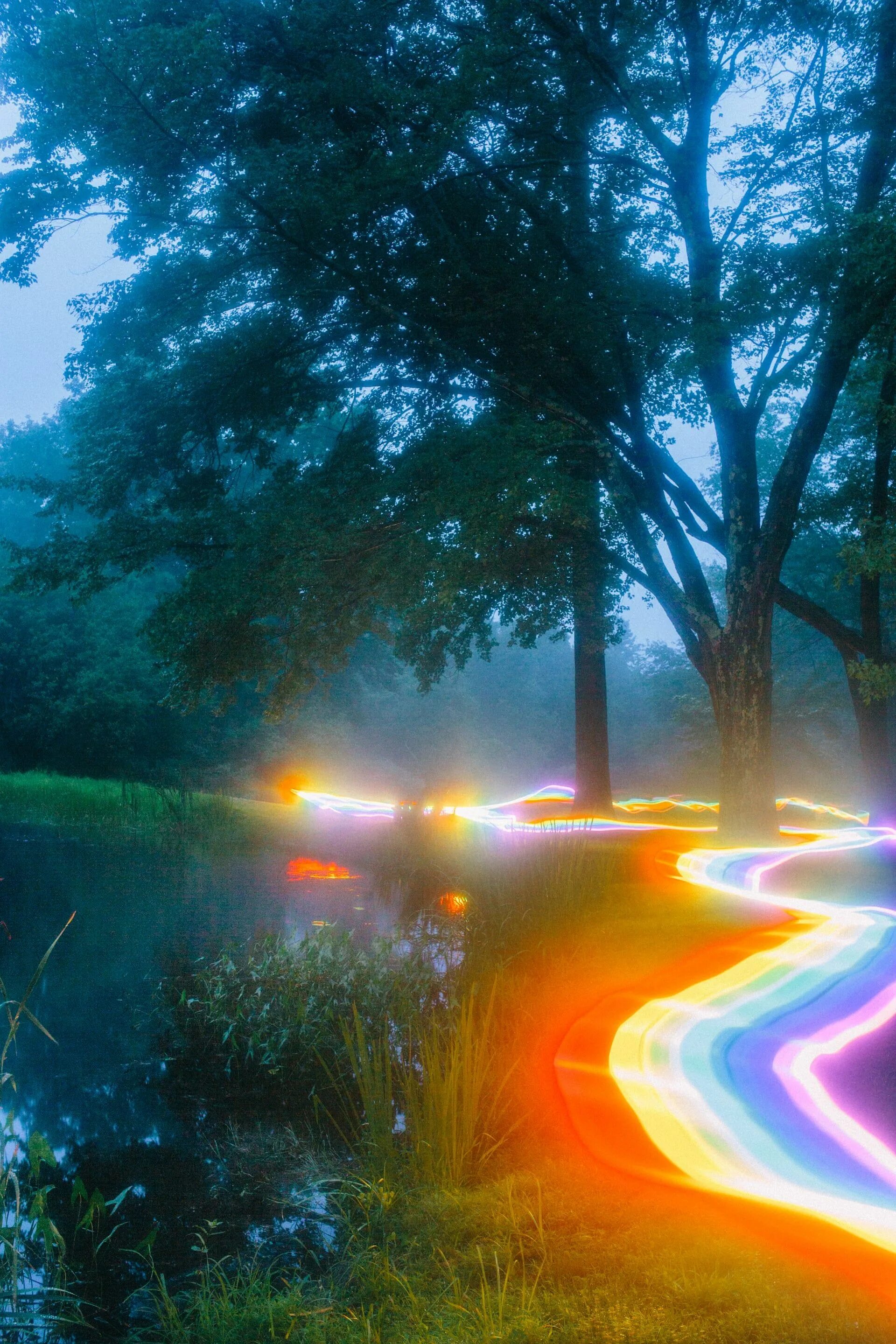 Спортивное мероприятие весёлые забеги. Color run. Цветной порошок. Макрель радужная (elagatis bipinnulata). Краска холи.