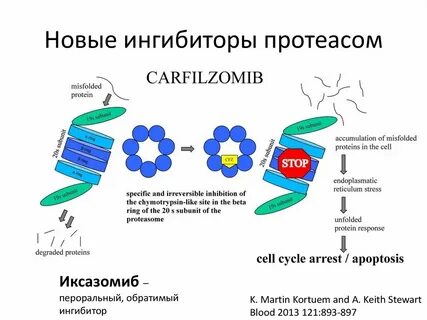 Ново ингибитор