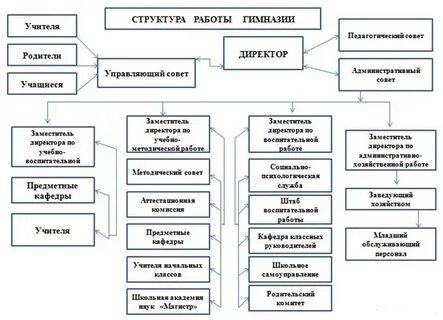 Структура коллегии