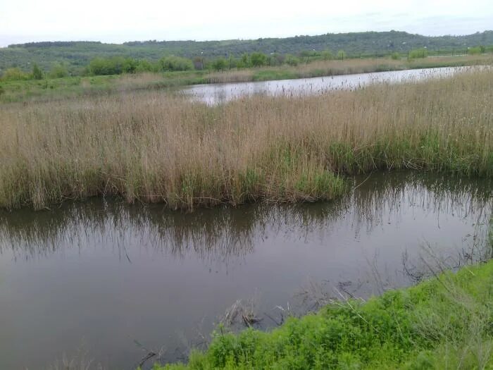 Поселок прудовой саратовская область. Затопленное село саратовская область. Поселок екатериновка саратовская область. Поселок прудовой саратовская область. Прудовой саратовская область.