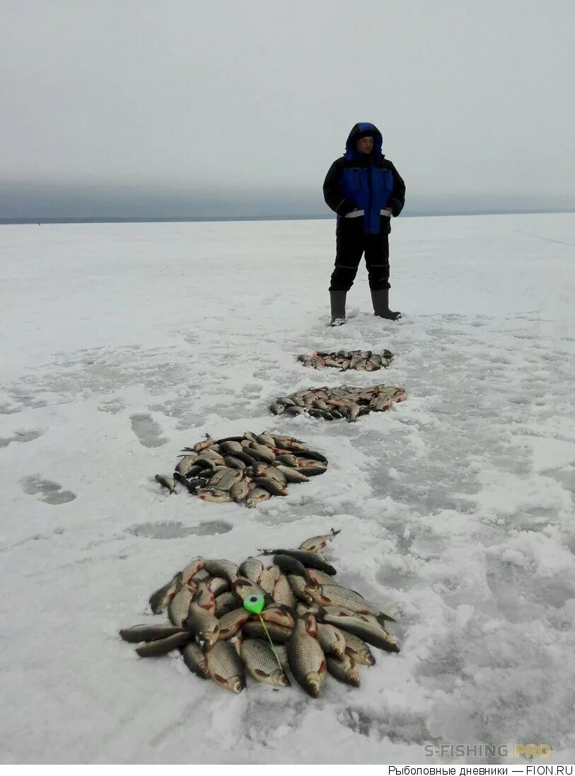 Рыбалка на горьковском водохранилище. Горьковское море рыбалка. Летняя рыбалка на горьковском море. Рыбалка на горьковском море. Горьковское море спиннинг зимой.