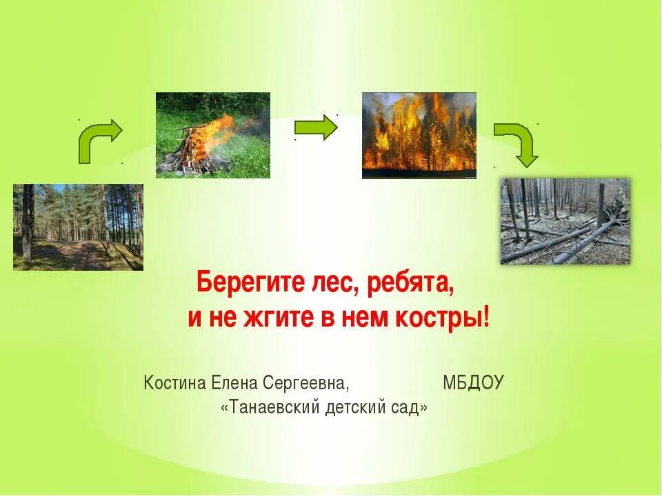 Песня берегите лес. Берегите лес. слайды берегите лес. презентация на тему береги лес. беречь лес от пожара.