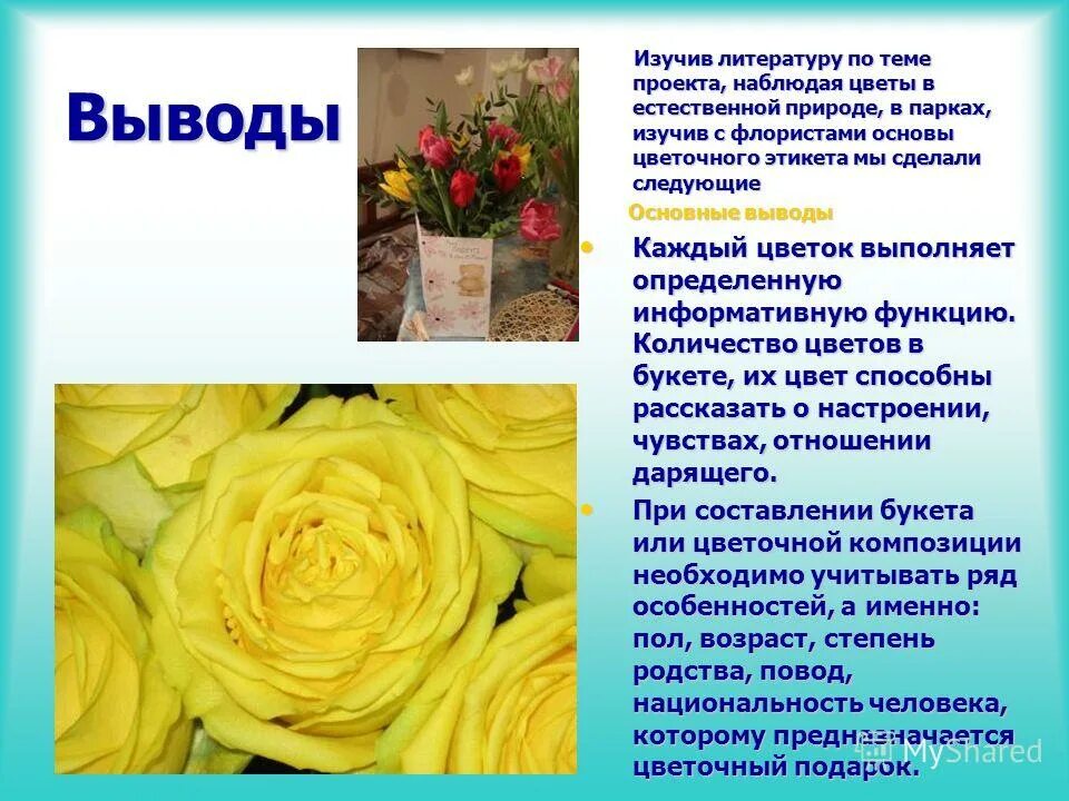 Язык цветов проект. Желтый на языке цветов. проект тема язык цветов. желтые цветы на языке цветов. значение цветов на языке цветов.