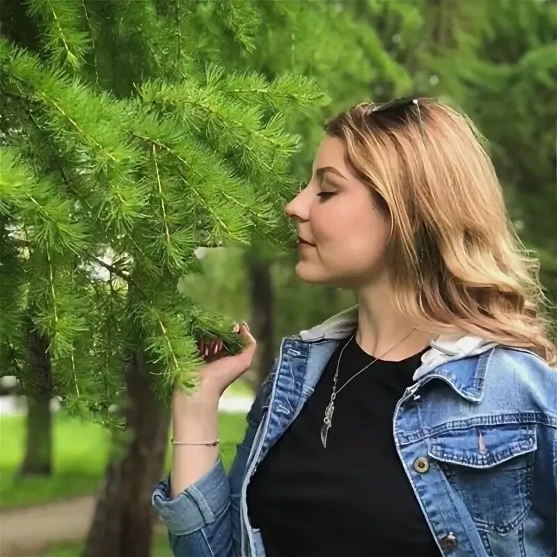 Фалькова курган. Фалькова курган