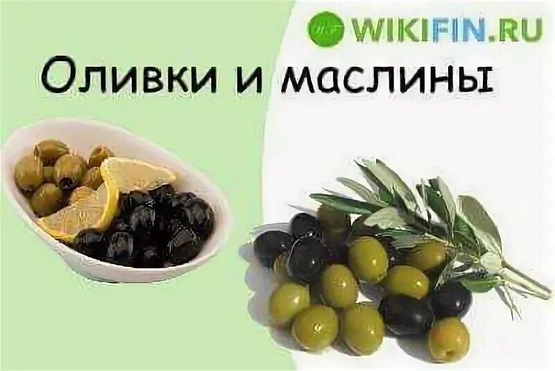 Оливки маслины это история 5 класс. Оливки маслины это история 5 класс. Оливки и маслины. Маслины и оливки в чем отличие. Маслины и оливки отличие.
