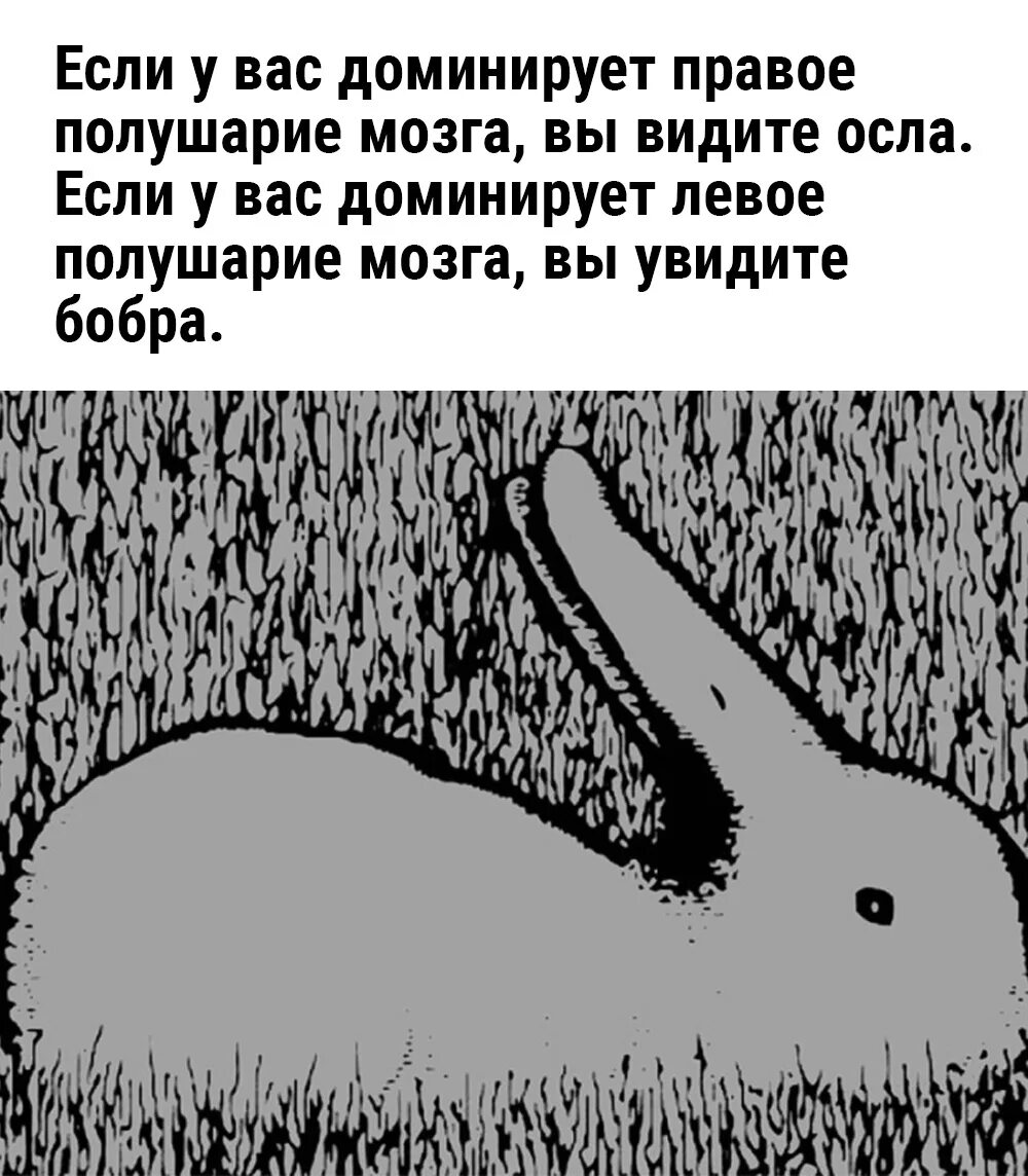 Бобра и осла. Борьба бобра с ослом. мемы борьба бобра с ослом. заяц имя мем. мемы сарказм 2025.