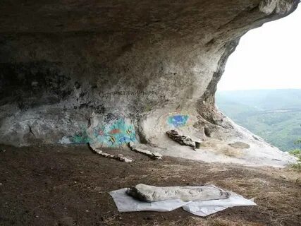 Жизни кала