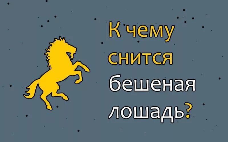 Толкование снов к чему снятся лошади. К чему снится лошадь. К чему снится бешеная лошадь. К чему снится конь лошадь. К чему снится конь во сне.