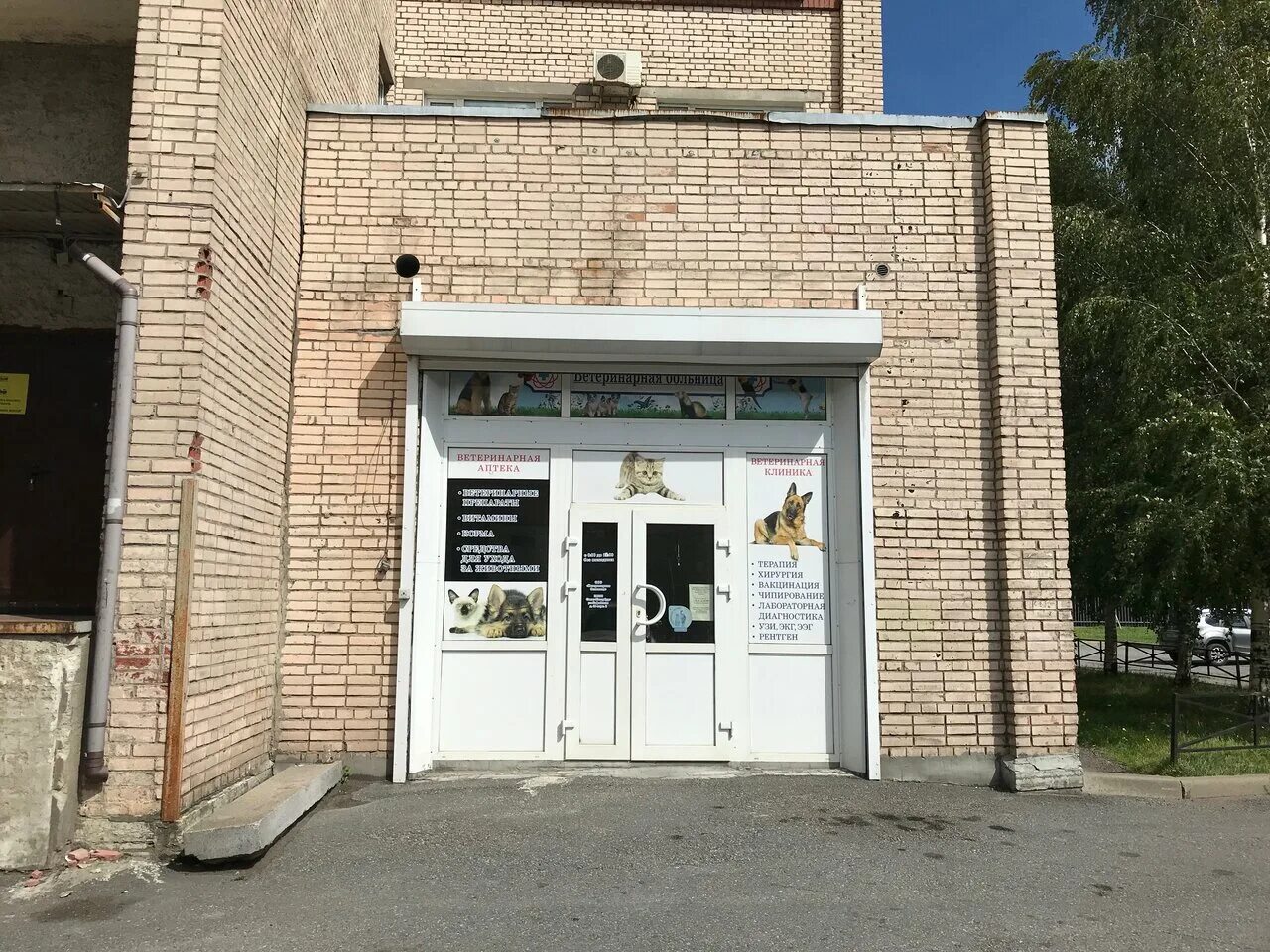 Ветклиника на братиславской 32. Ветклиника на димитрова и будапештской. Спб, ул. Ветеринарная на будапештской. Ветеринарная на будапештской.