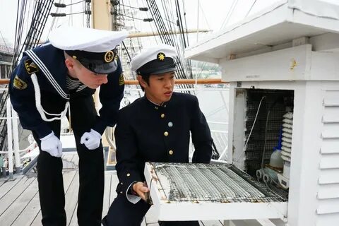Погода для моряков