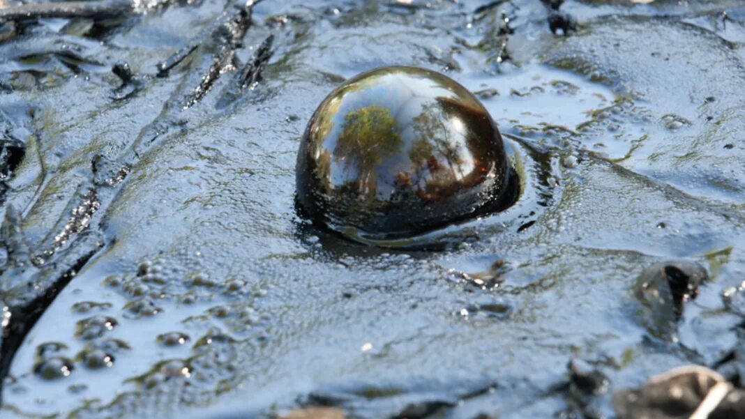 Смола закипела. Битум нефтяной. Кипящая смола. Кипящий гудрон. Кипящая смола.