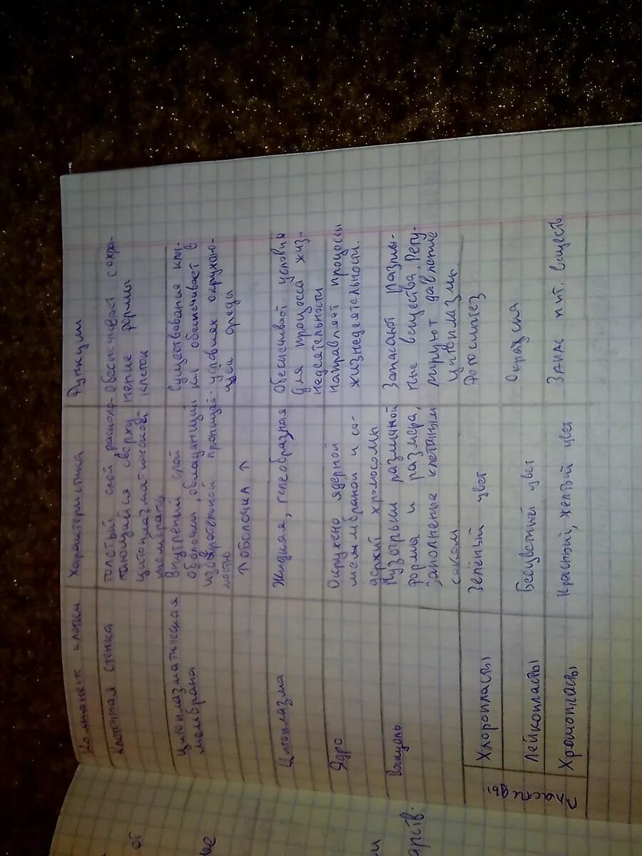 Ответы: Заполните таблицу на тему "Внутреннее строение листа".