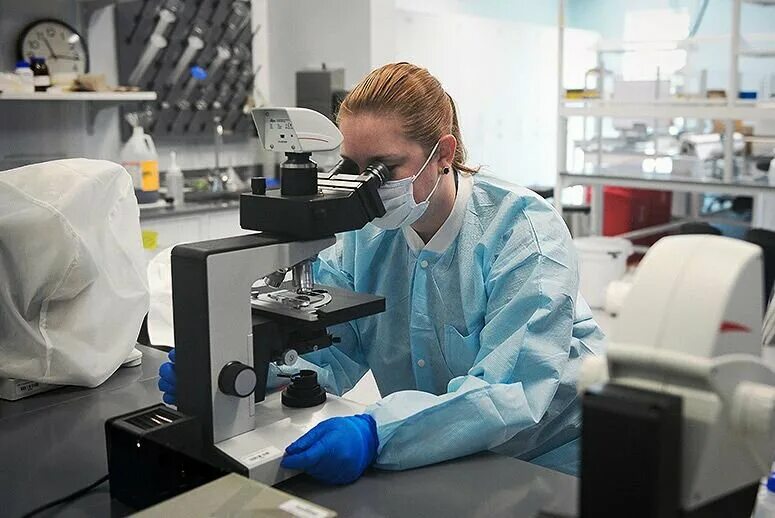 Судебно-медицинская экспертиза криминалистика. Криминалистическая экспертиза материалов веществ и изделий. Судебно-медицинское исследование. Медико-генетическая лаборатория. Судебно-гистологическое исследование.