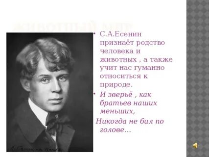 Есенин никогда