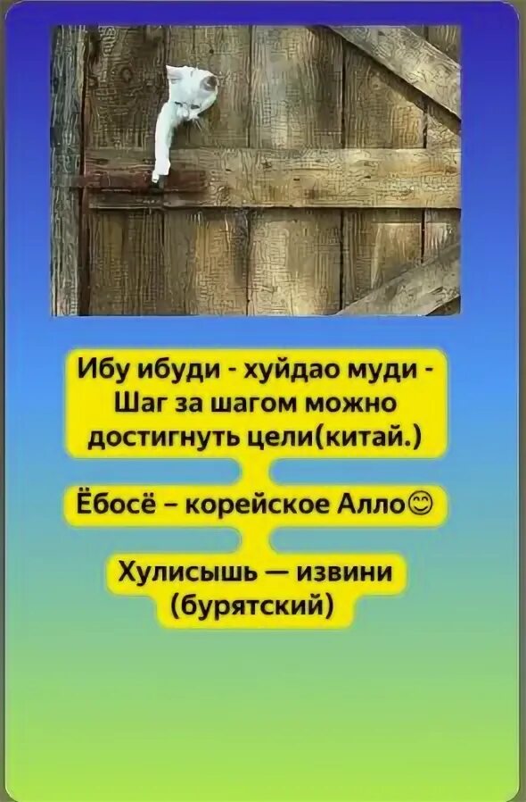 Китайская мудрость ибу ибуди. Анекдот про китайского мудреца. Китайские цитаты смешные. Ибу ибуди хуйдао муди хуйдао муди. Шаг за шагом достигнешь цели.