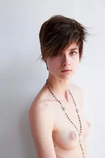 shorthair3201811.jpg. 