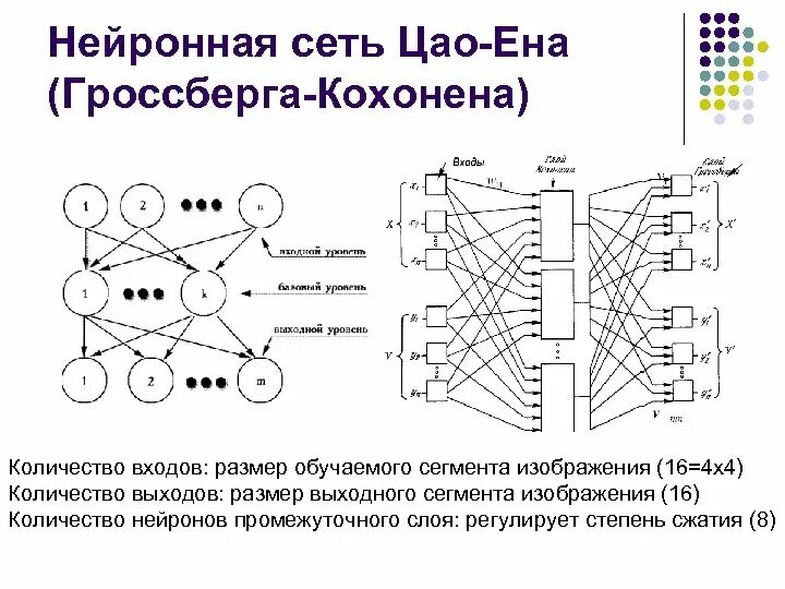 Модели сверточных нейронных сетей. Структура нейронной сети Кохонена. Архитектура нейронной сети Кохонена. Типы нейронных сетей сверточные рекуррентные. Самоорганизующаяся нейросеть Кохонена.