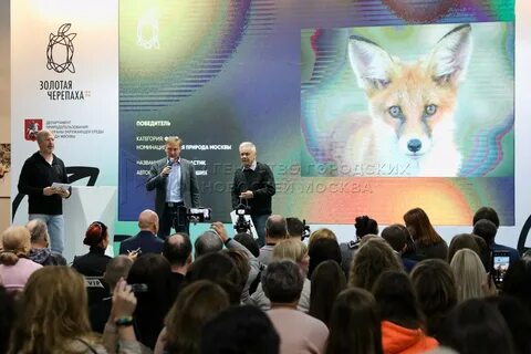 Фестиваль золотая черепаха
