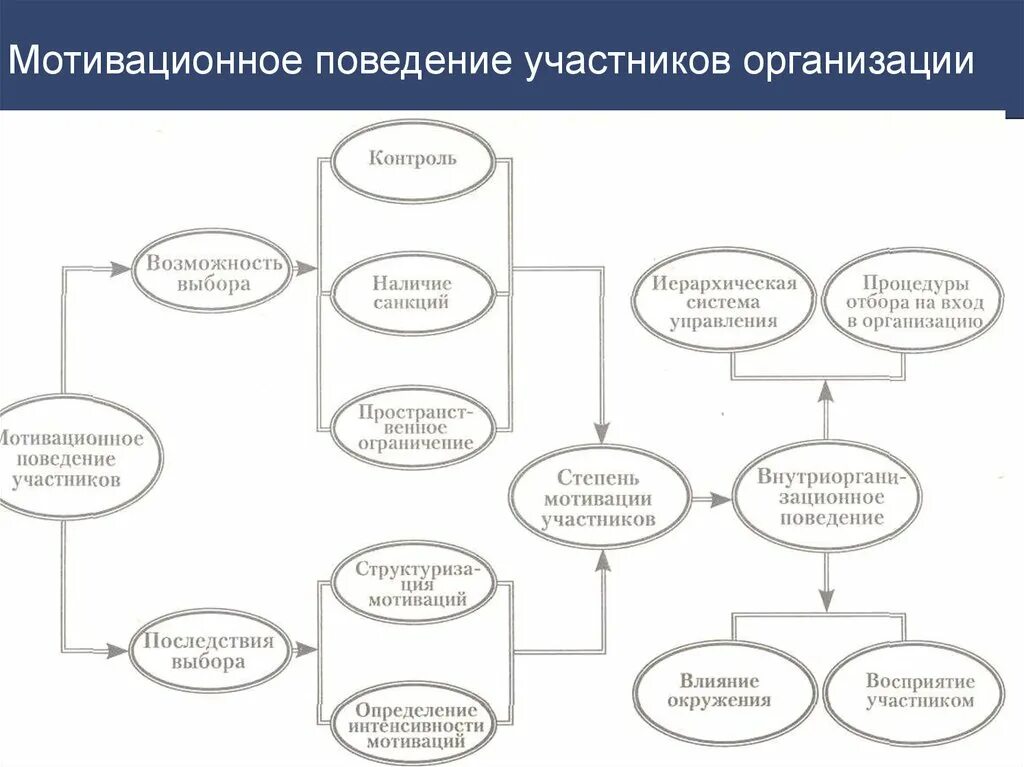 Мотивация поведения в организации. Мотивационное поведение. Мотивация поведения фирмы. Мотивация поведения участников организации. Мотивационное поведение участников мотивации.