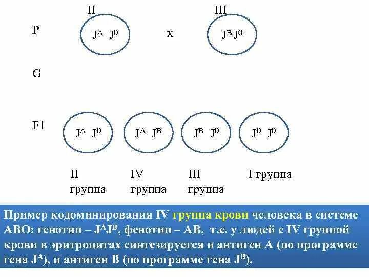 Пример кодоминирования у человека Презентация на тему: "ВЗАИМОДЕЙСТВИЕ ГЕНОВ АЛЛЕЛЬНЫХ (А и а) НЕАЛЛЕЛЬНЫХ (А, В,