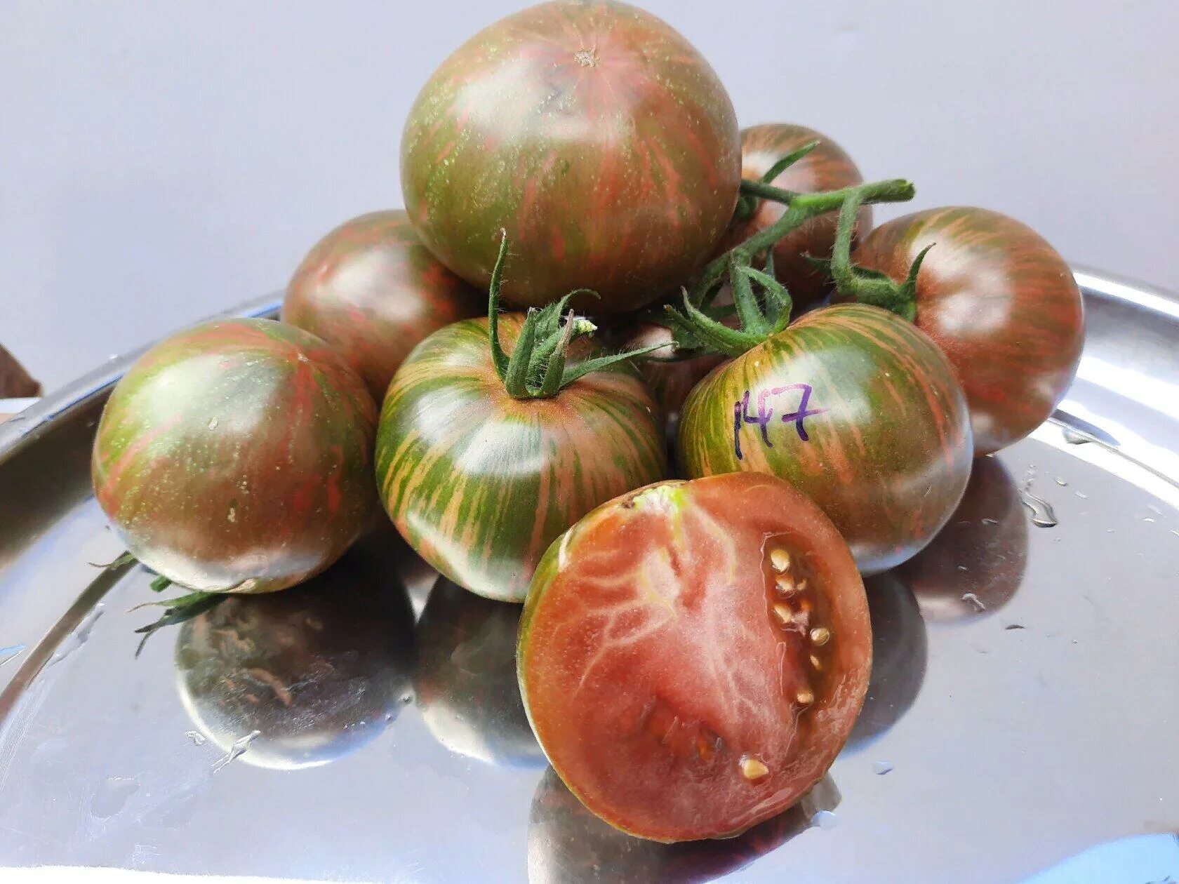 томат козула 132. томаты козулы описание сорта. томат козула 37. козула 156 / kozula 156. томат козула 137.