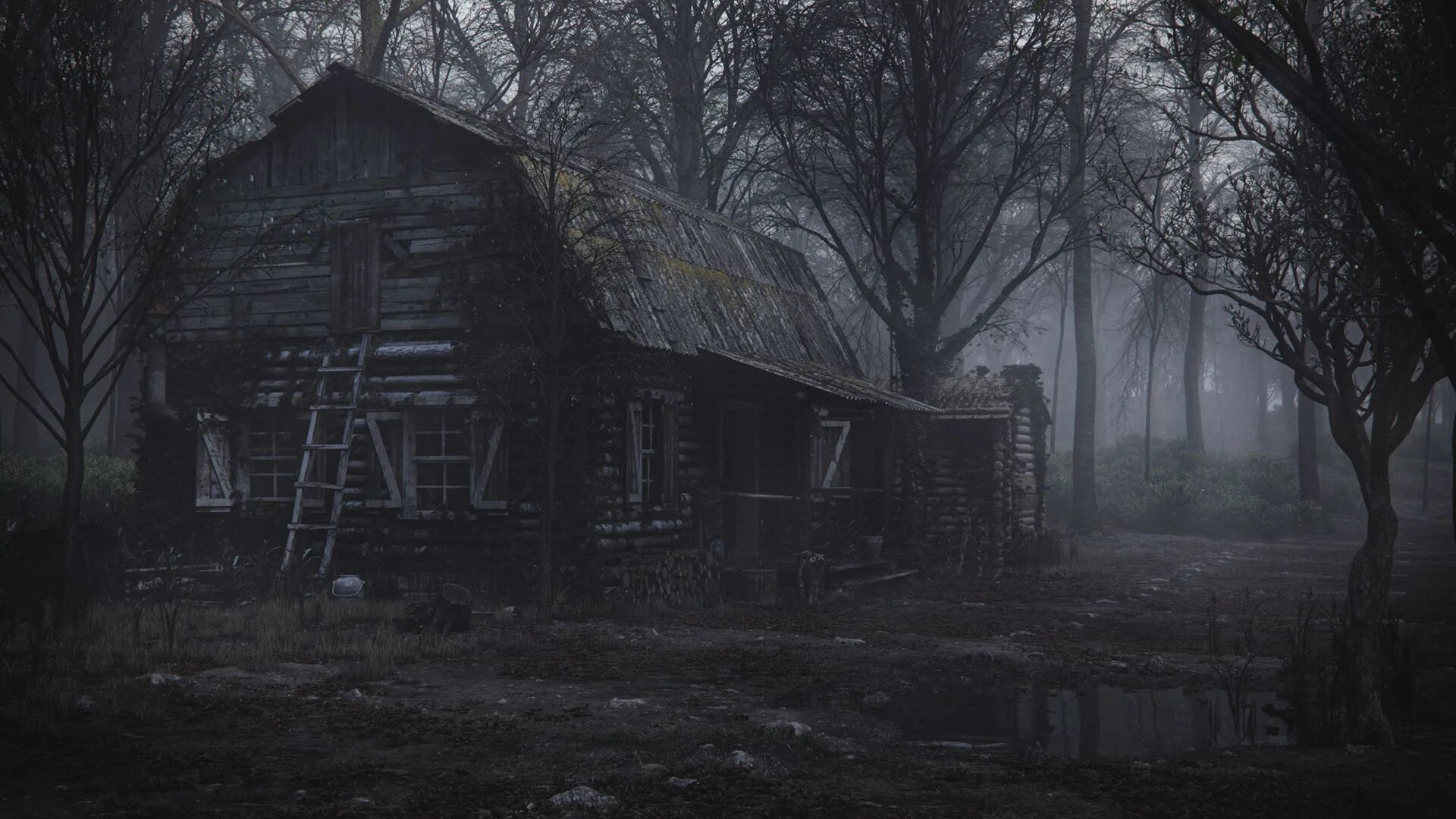 Gloomy village. Заброшенная Хижина в лесу. Сайлент Хилл лес. Мрачный дом. Страшный домик в лесу.